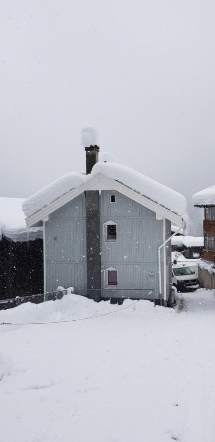 Casa Cuschina - Mit Sauna In Der Schoenen Surselva Dardin Exterior foto